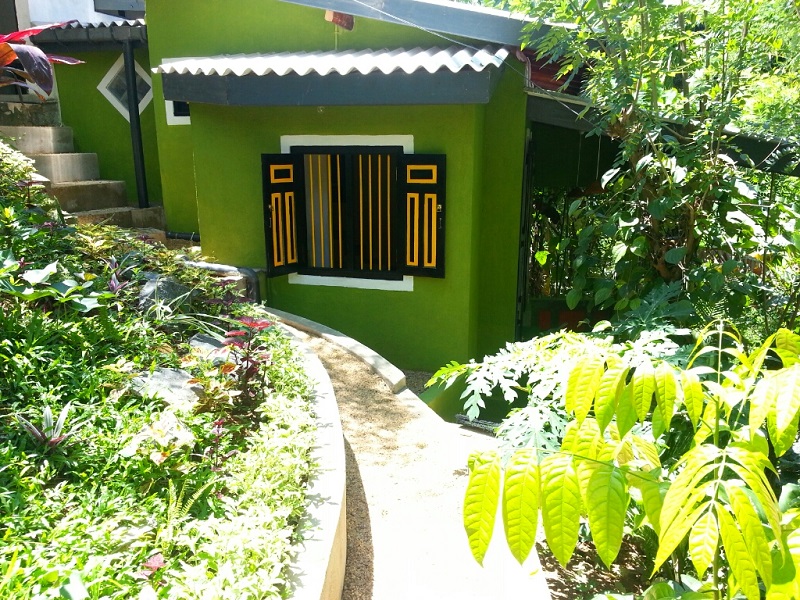 Green Bungalow Main View